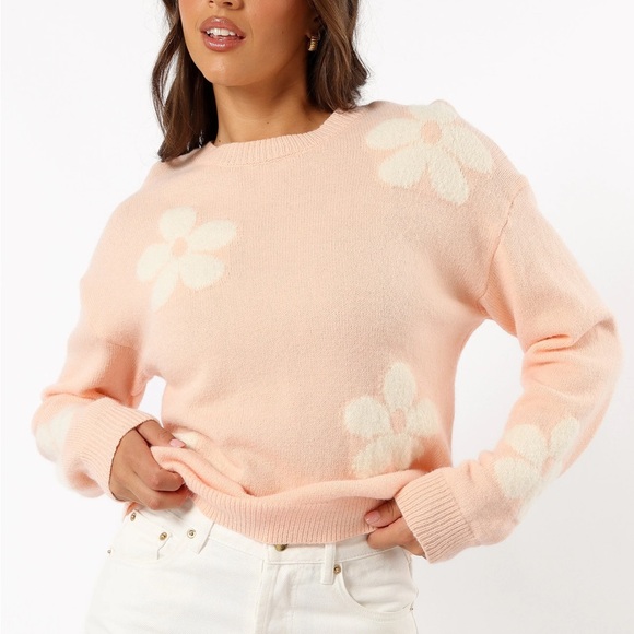 Petal & Pup Sweaters - Petal & Pup Soft Orange Crewneck Sweater